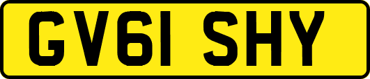 GV61SHY