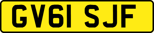 GV61SJF