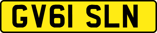 GV61SLN