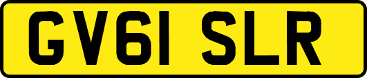 GV61SLR