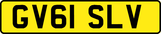 GV61SLV