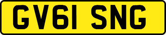 GV61SNG