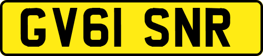 GV61SNR