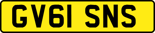 GV61SNS