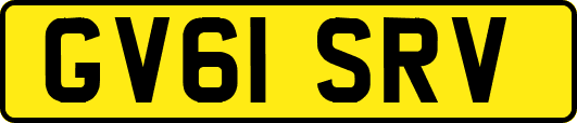 GV61SRV
