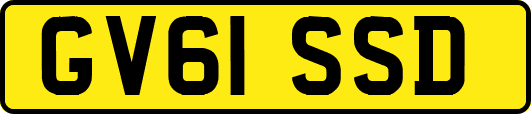 GV61SSD
