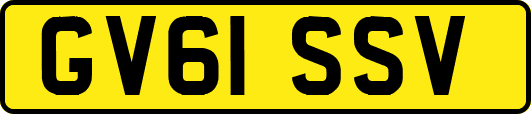 GV61SSV