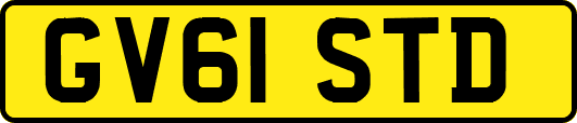 GV61STD