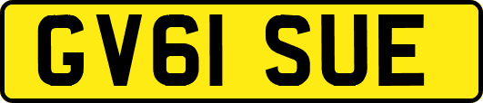 GV61SUE