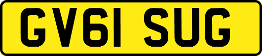 GV61SUG