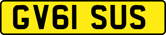 GV61SUS