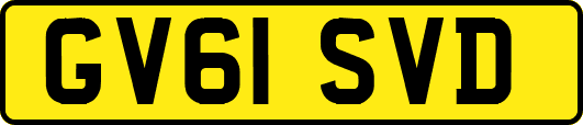 GV61SVD
