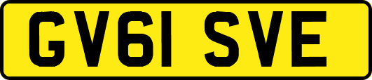 GV61SVE