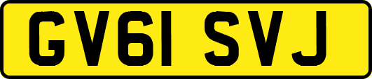 GV61SVJ
