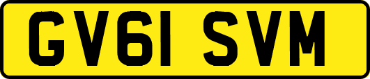 GV61SVM