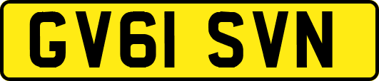 GV61SVN