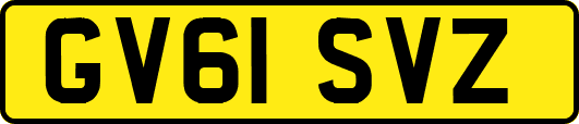 GV61SVZ