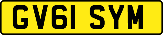 GV61SYM
