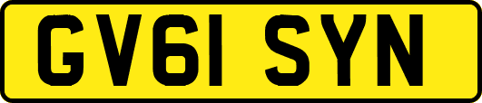 GV61SYN