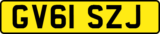 GV61SZJ