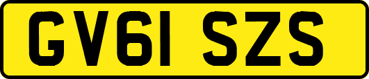 GV61SZS
