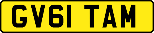 GV61TAM