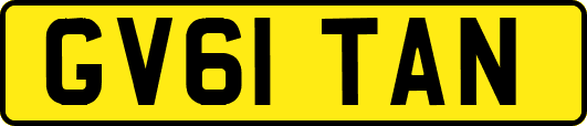 GV61TAN