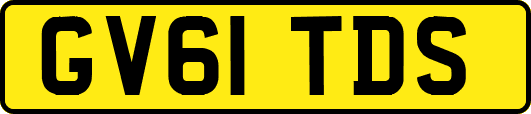 GV61TDS