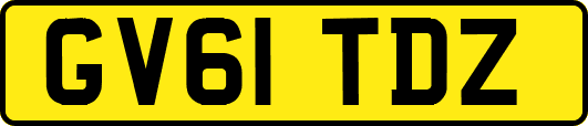GV61TDZ