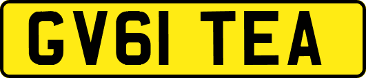 GV61TEA