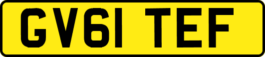 GV61TEF