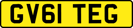 GV61TEG