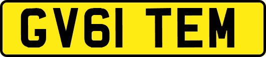 GV61TEM