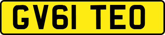 GV61TEO