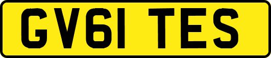 GV61TES