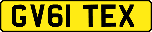GV61TEX