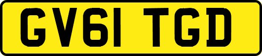 GV61TGD
