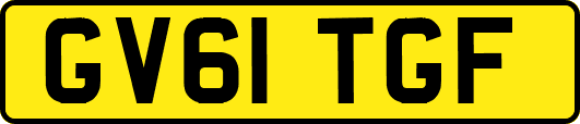 GV61TGF