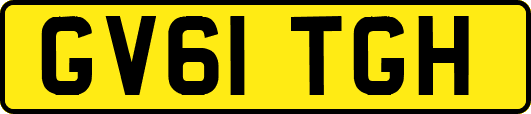 GV61TGH