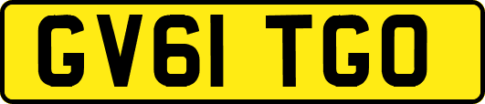 GV61TGO