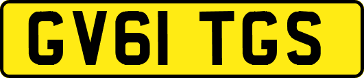 GV61TGS