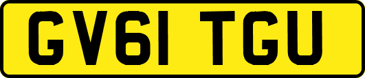 GV61TGU