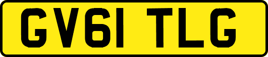 GV61TLG