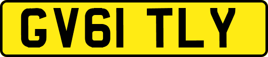 GV61TLY