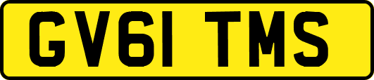 GV61TMS