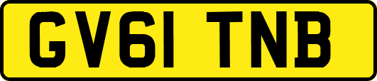 GV61TNB