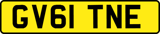 GV61TNE