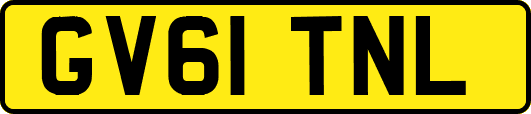 GV61TNL