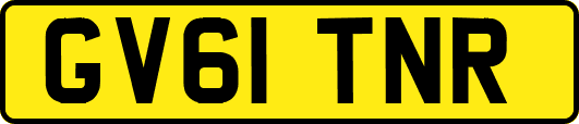 GV61TNR