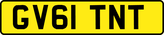 GV61TNT